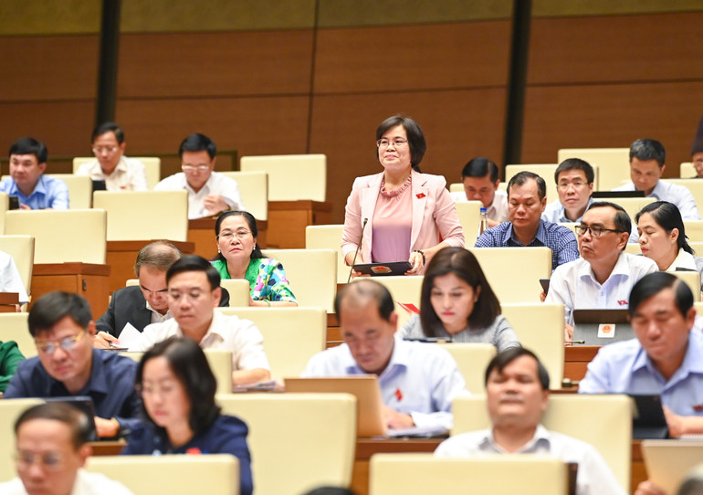 Đại biểu Nguyễn Thị Hồng Hạnh (Thành phố Hồ Chí Minh) phát biểu. (Ảnh: DUY LINH)