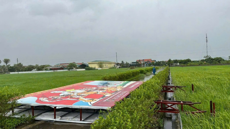 Ảnh: QUANG THỌ Ảnh: QUANG THỌ