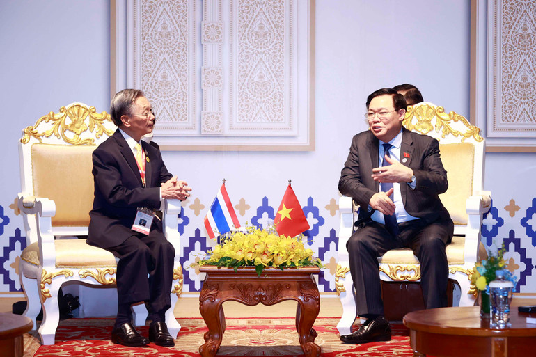 Chủ tịch Quốc hội Vương Đình Huệ gặp Chủ tịch Hạ viện Thái Lan Chuan Leekpai. (Ảnh: Doãn Tấn/TTXVN)