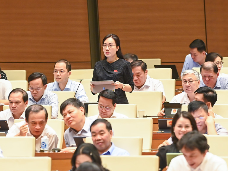 Đại biểu Đỗ Thị Việt Hà (Bắc Giang) phát biểu. (Ảnh: DUY LINH)