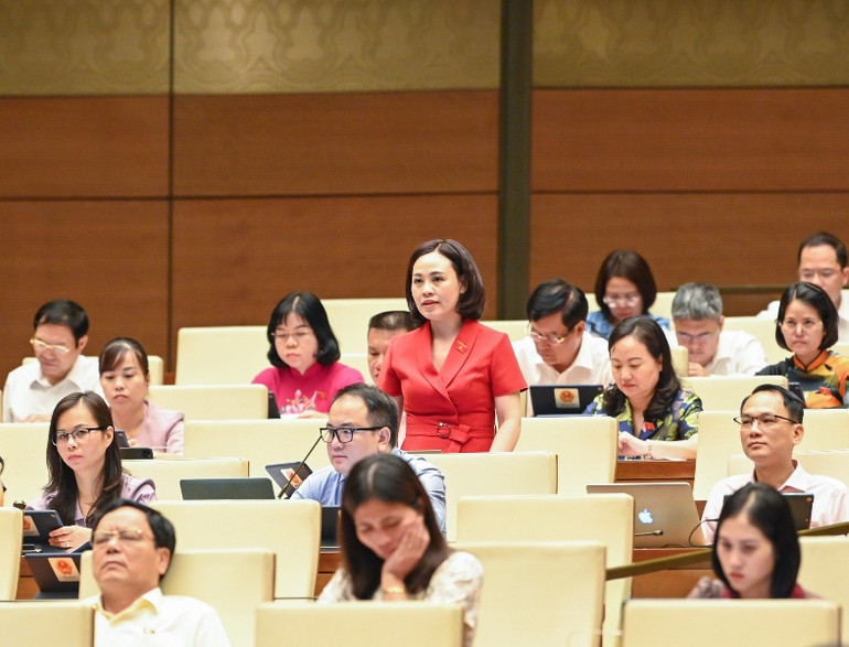 Đại biểu Trần Thị Hồng Thanh - Đoàn đại biểu Quốc hội tỉnh Ninh Bình. (Ảnh: DUY LINH)