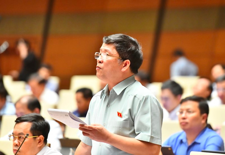 Đại biểu Tạ Văn Hạ (Quảng Nam) phát biểu. (Ảnh: ĐĂNG KHOA)