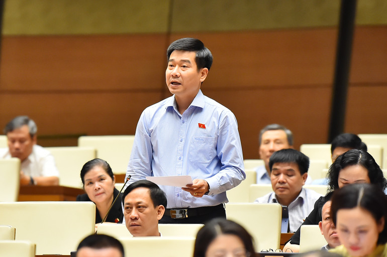 Đại biểu Lê Thanh Hoàn (Thanh Hóa) phát biểu. (Ảnh: THỦY NGUYÊN)