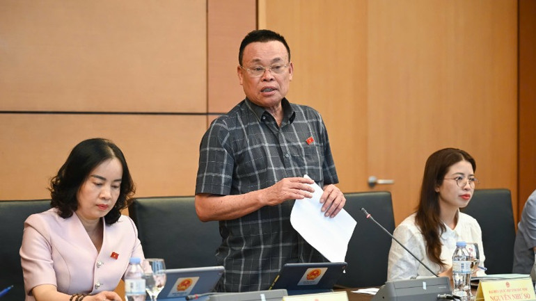 Đại biểu Nguyễn Như So (Bắc Ninh) phát biểu. (Ảnh: DUY LINH)