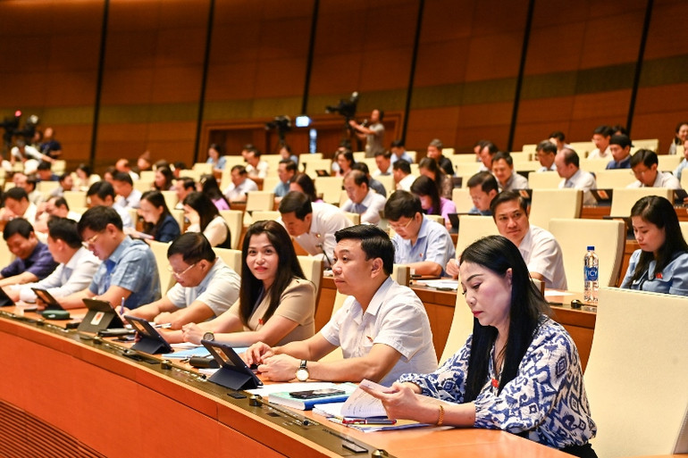 Các đại biểu dự phiên họp sáng 26/5. (Ảnh: DUY LINH) Các đại biểu dự phiên họp sáng 26/5. (Ảnh: DUY LINH)