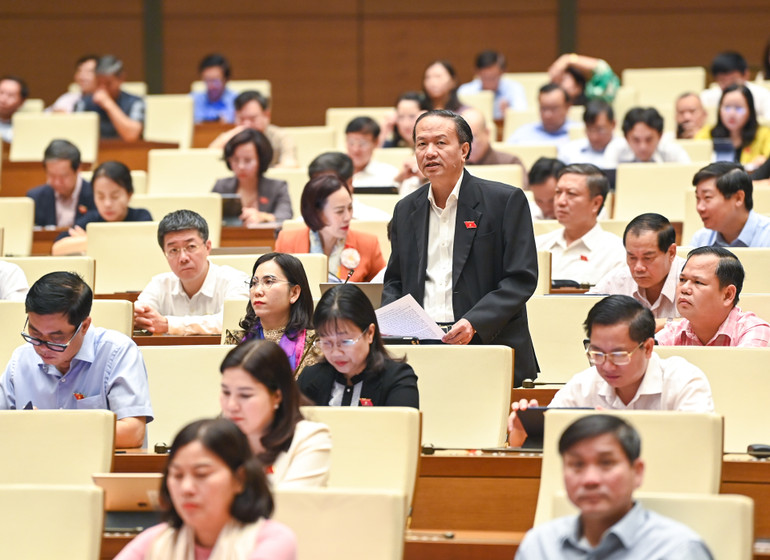 Đại biểu Đinh Ngọc Minh - Đoàn đại biểu Quốc hội tỉnh Cà Mau. (Ảnh: DUY LINH)