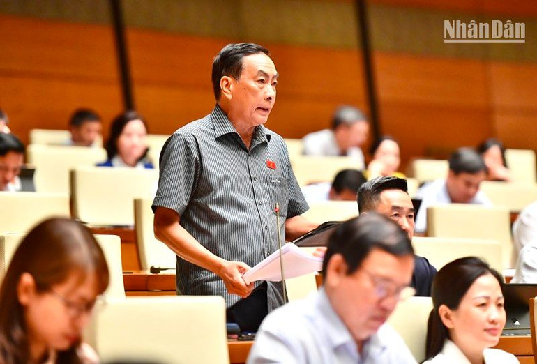 Đại biểu Phạm Văn Hòa (Đồng Tháp) phát biểu. (Ảnh: ĐĂNG KHOA)