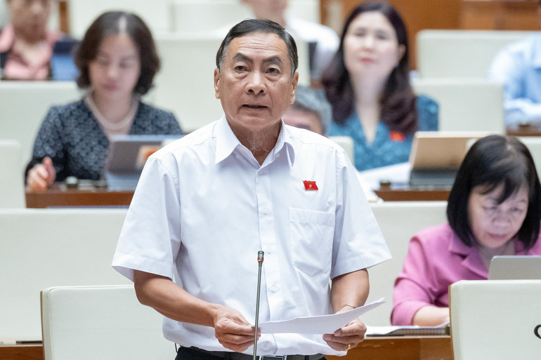 Đại biểu Phạm Văn Hòa (Đồng Tháp) phát biểu. (Ảnh: ĐĂNG KHOA)