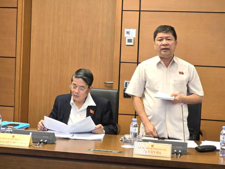 Đại biểu Tạ Văn Hạ (Quảng Nam). (Ảnh: TRUNG HƯNG)