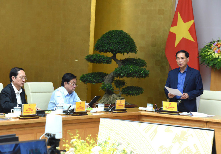 Bộ trưởng Ngoại giao Bùi Thanh Sơn phát biểu.