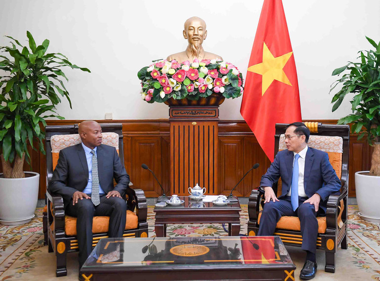 Phó Thủ tướng, Bộ trưởng Ngoại giao Bùi Thanh Sơn tiếp Thứ trưởng Ngoại giao và Hợp tác Đông Phi Tanzania Cosato David Chumi.