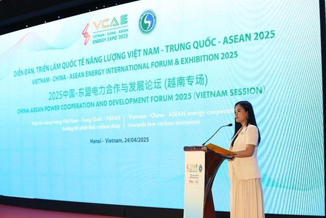 Bà Nguyễn Thị Thanh Bình, Phó Tổng Giám đốc Tập đoàn T&T Group, Chủ tịch T&T Energy, Phó Chủ tịch Hiệp hội Năng lượng Việt Nam phát biểu tại Diễn đàn.