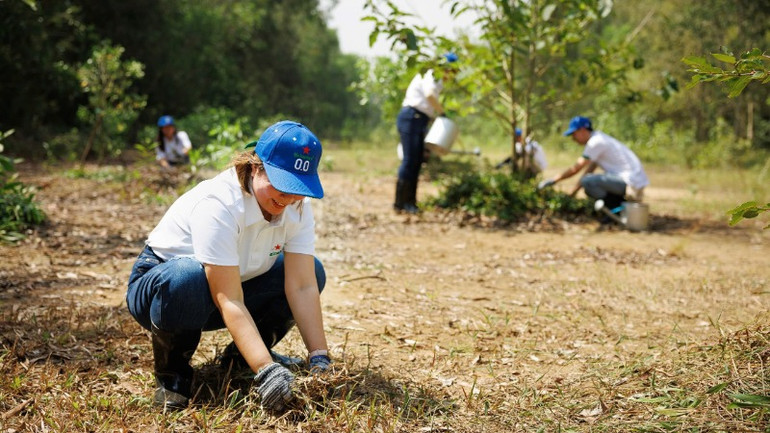 Nhân viên Heineken Việt Nam cùng cắt cỏ và chăm sóc cây trồng tại Khu bảo tồn sinh thái Đồng Tháp Mười.