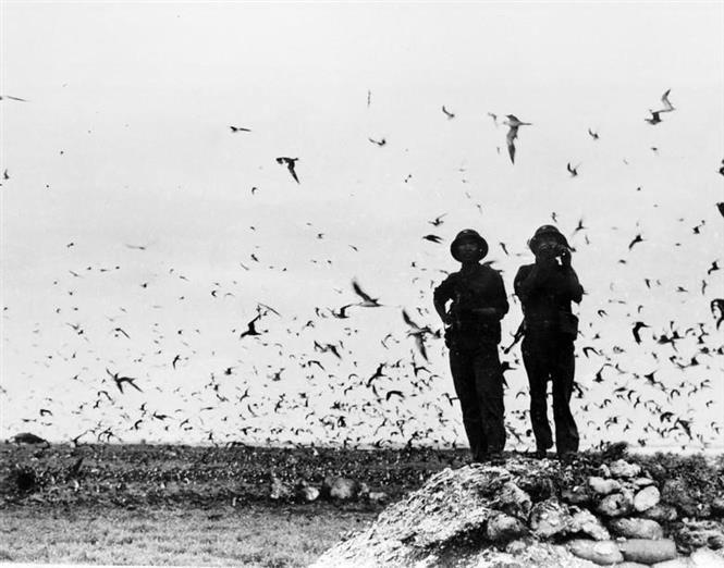 Bộ đội hải quân trên đảo Trường Sa được giải phóng, ngày 29/4/1975.