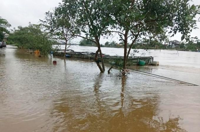 Lồng nuôi cá của người dân ven sông Bồ nguy cơ bị nước nhấn chìm, gây thiệt hại.