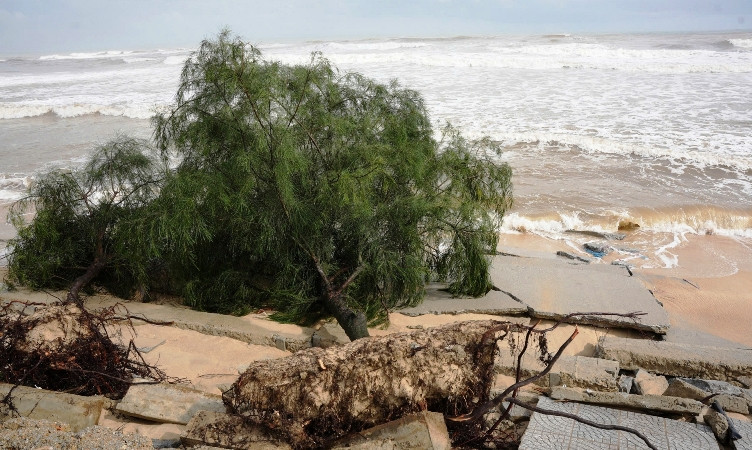 Sạt lở gây phá hỏng vỉa hè, đổ ngã cây dương ven đường nội bộ khu vực bãi tắm. (Ảnh: AP)