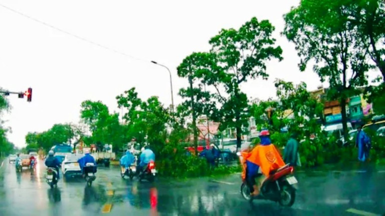 Cây xanh ngã đổ ở trên đường Trần Hưng Đạo (thành phố Huế) vì giông lốc. Cây xanh ngã đổ ở trên đường Trần Hưng Đạo (thành phố Huế) vì giông lốc.