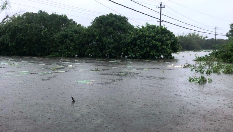 Đến sáng 16/10, tại Thừa Thiên Huế thời tiết tiếp tục mưa lớn, nhiều vùng thấp trũng ở các huyện vùng thấp như Phong Điền, Quảng Điền, Phú Vang… nước còn ngập sâu.