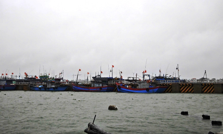 Tỉnh chỉ đạo các địa phương yêu cầu kiểm tra hệ thống các phương tiện tàu thuyền, lao động đánh bắt trên biển vào bờ tránh trú bão an toàn khi có áp thấp trên biển.