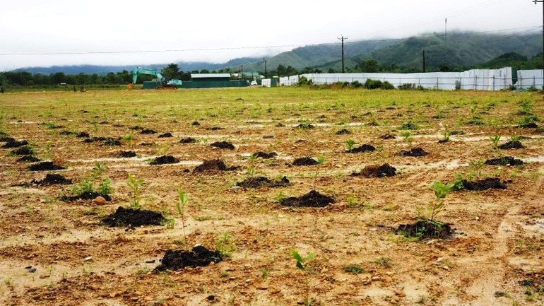 Khu vực hoàn thành xử lý hiện trường được hoàn trả môi trường trong sạch, an toàn.