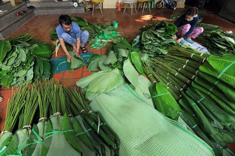 Lá dong thường được sắp 50 tàu/bó để thương lái tiện thu mua. (Ảnh: Phạm Hậu/TTXVN)