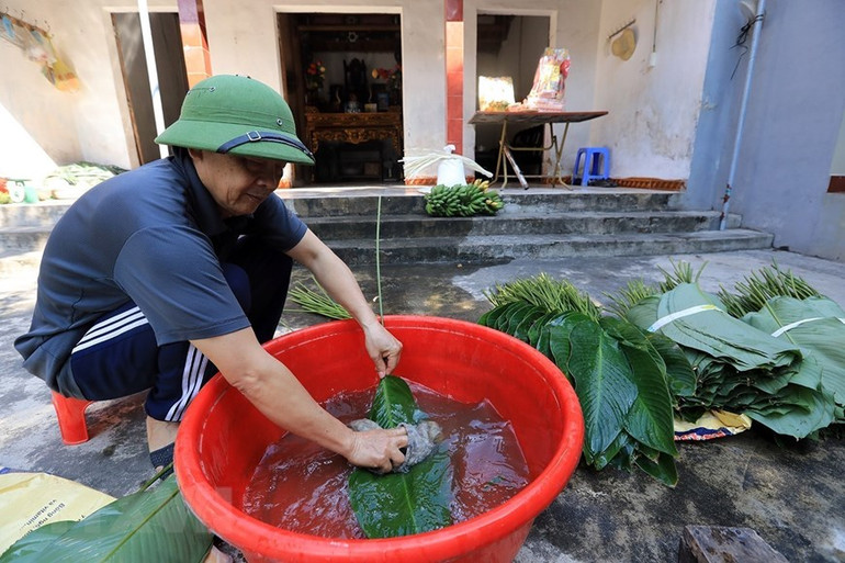 Những ngày giáp Tết, người dân nơi đây lại tất bật với việc thu hoạch, rửa lá trước khi đem đi tiêu thụ. (Ảnh: Tuấn Anh/TTXVN)