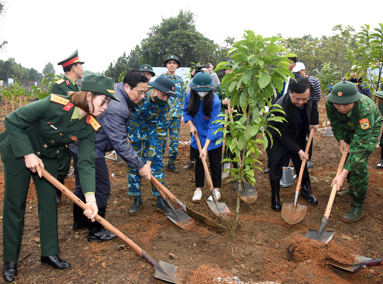 Thủ tướng Phạm Minh Chính trồng cây tại Lễ phát động “Tết trồng cây đời đời nhớ ơn Bác Hồ”.