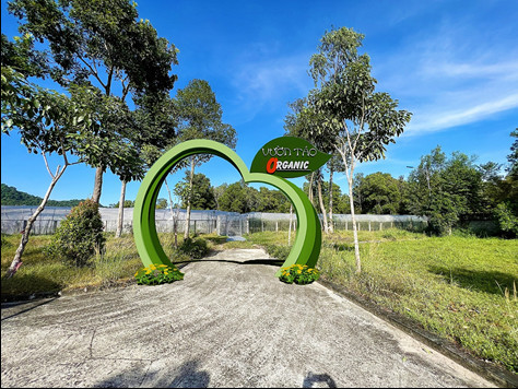 Vườn táo “organic” ở Cáp treo Núi Cấm.