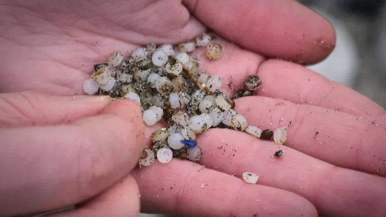 Các hạt nhựa được tìm thấy tại bờ biển thành phố Le Havre (CH Pháp) vào tháng 2/2023. (Ảnh: FranceInfo) Các hạt nhựa được tìm thấy tại bờ biển thành phố Le Havre (CH Pháp) vào tháng 2/2023. (Ảnh: FranceInfo)