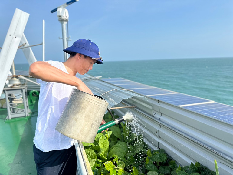 Đại úy Bùi Văn Minh chăm vườn rau trên nhà giàn.