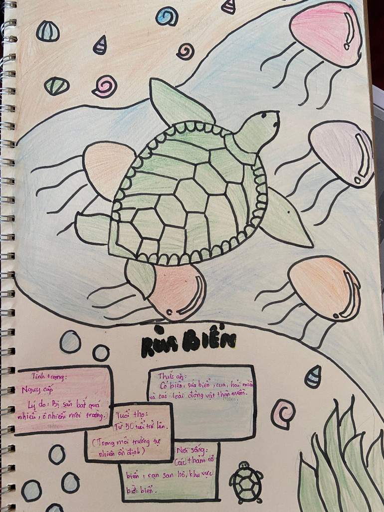 Minh họa: Ánh Dương Minh họa: Ánh Dương