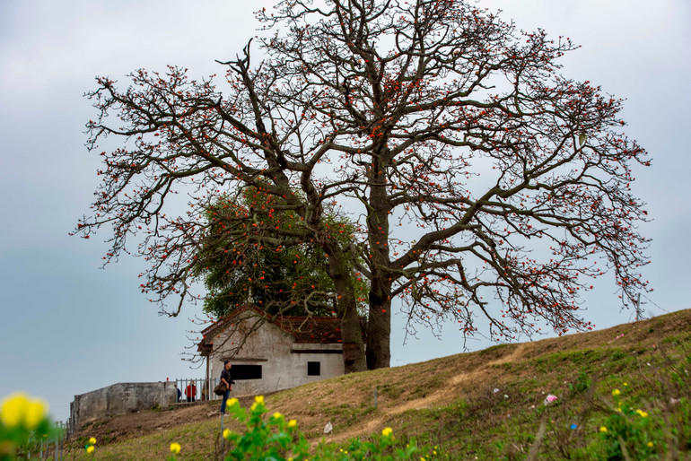 ... và sau khi AI giúp "xóa" những phần không theo ý tác giả trong ảnh gốc. Ảnh: NGUYỄN KỲ NAM