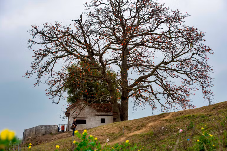 ... và sau khi AI giúp "xóa" những phần không theo ý tác giả trong ảnh gốc. Ảnh: NGUYỄN KỲ NAM