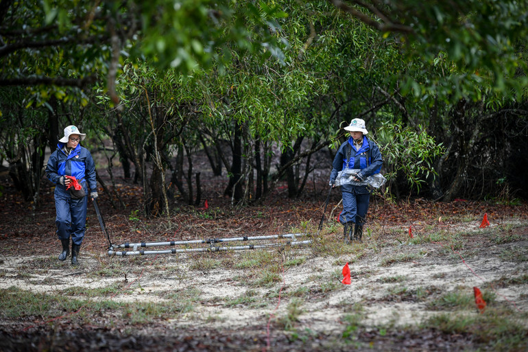 Mồ hôi, và cả máu đã phải đổ xuống để đổi lấy bình yên cho quê hương. Mồ hôi, và cả máu đã phải đổ xuống để đổi lấy bình yên cho quê hương.