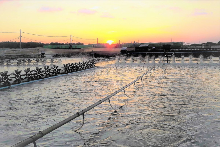 Nhiều doanh nghiệp nhỏ và vừa khó tiếp cận nguồn vốn với lãi suất ưu đãi.