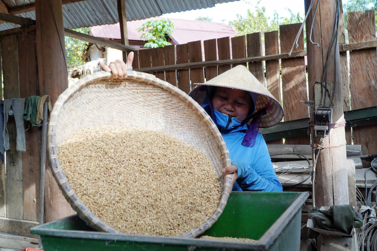 Chị La Thị Lập phấn khởi bên chiếc máy xát gạo đầu tiên của bản.