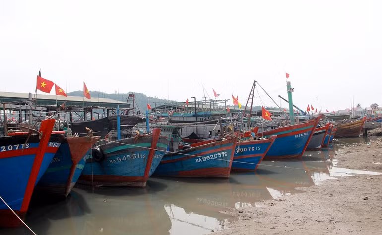 Tàu thuyền vào nơi neo đậu an toàn.