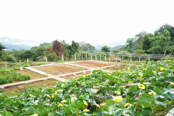 Khu tăng gia tập trung của đồn được quy hoạch xây dựng trên diện tích 1.000m2.