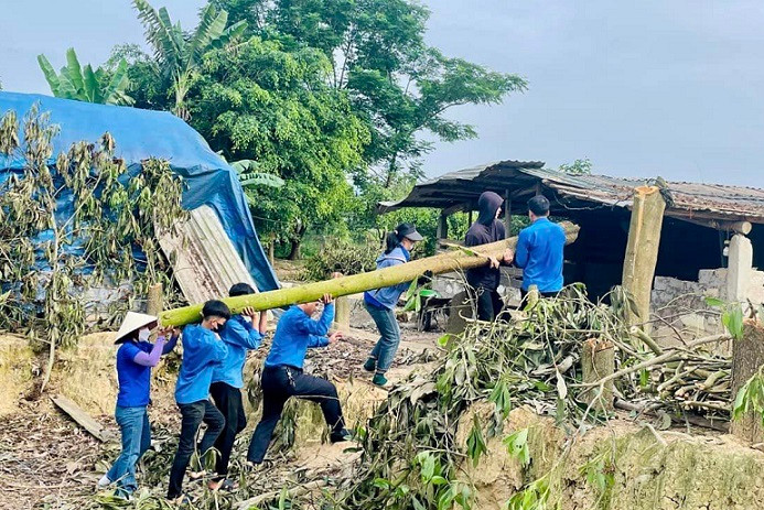 Tham gia chặt đốn cây cối trong hành lang tuyến phải giải tỏa.