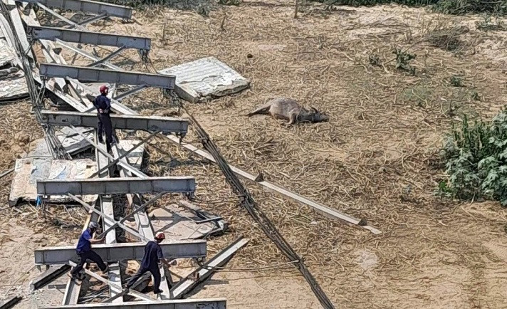 Khung thép nằm ngổn ngang trên bãi bồi.