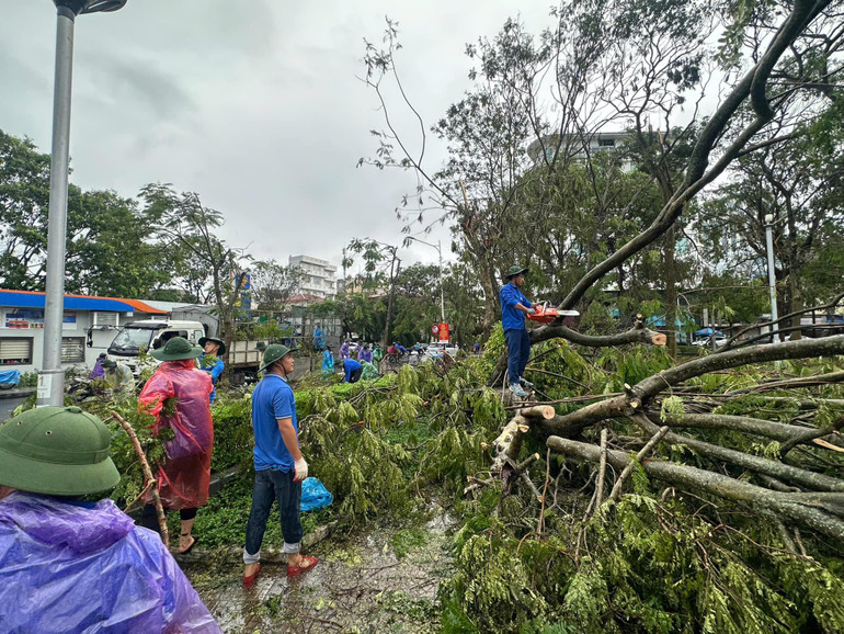 Đến thành phố Hải Phòng, đội tình nguyện Nghệ An bắt tay vào dọn dẹp cây đổ trên đường phố Hải Phòng.