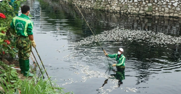Công nhân môi trường xúc cá chết lên. (Ảnh: Thanh Phúc) Công nhân môi trường xúc cá chết lên. (Ảnh: Thanh Phúc)