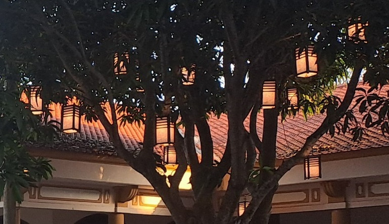 Đèn lồng được treo trong vườn cây ở Khu di tích Kim Liên.