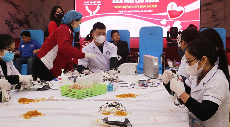 Ban tổ chức phân loại các đơn vị máu thu được. Ảnh Phan Quỳnh