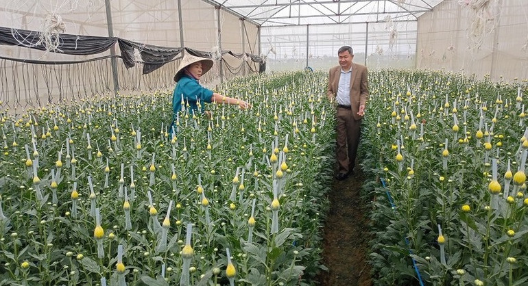 Ứng dụng công nghệ cao để trồng hoa, rau củ quả trên đồng đất Yên Thành cho hiệu quả kinh tế cao.