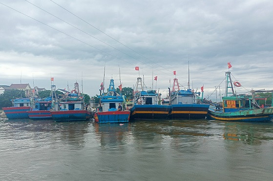 Cơ sở hạ tầng cảng cá, bến cá ở Nghệ An còn thiếu.