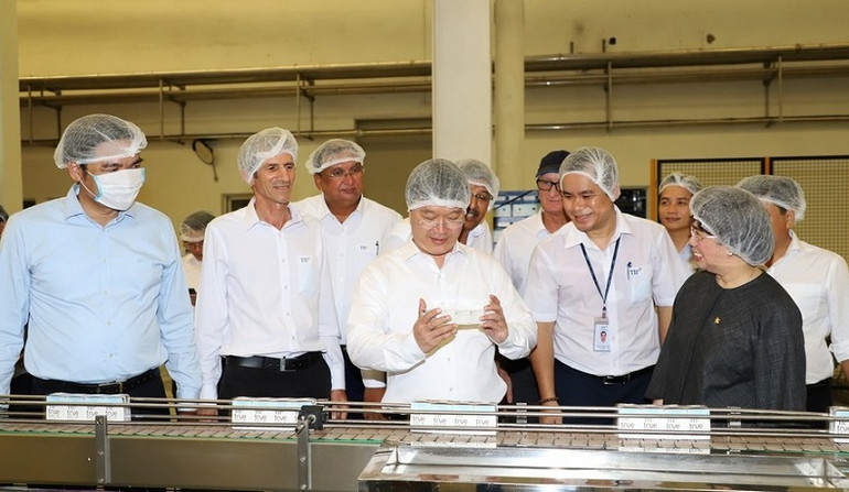 Nhà máy sữa TH tăng hết công suất phục vụ nhu cầu thị trường.