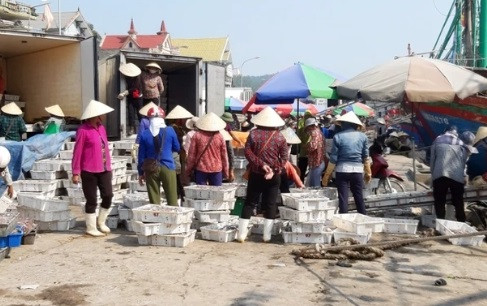 Giảm bớt số lượng tàu đánh bắt vùng lộng để nâng cao hiệu quả và chất lượng đánh bắt hải sản.
