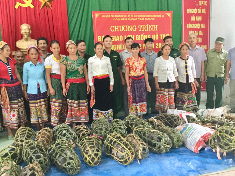 Đồn biên phòng Tam Quang giúp đồng bào lợn giống.