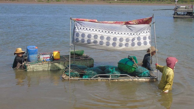 Vất vả mưu sinh.